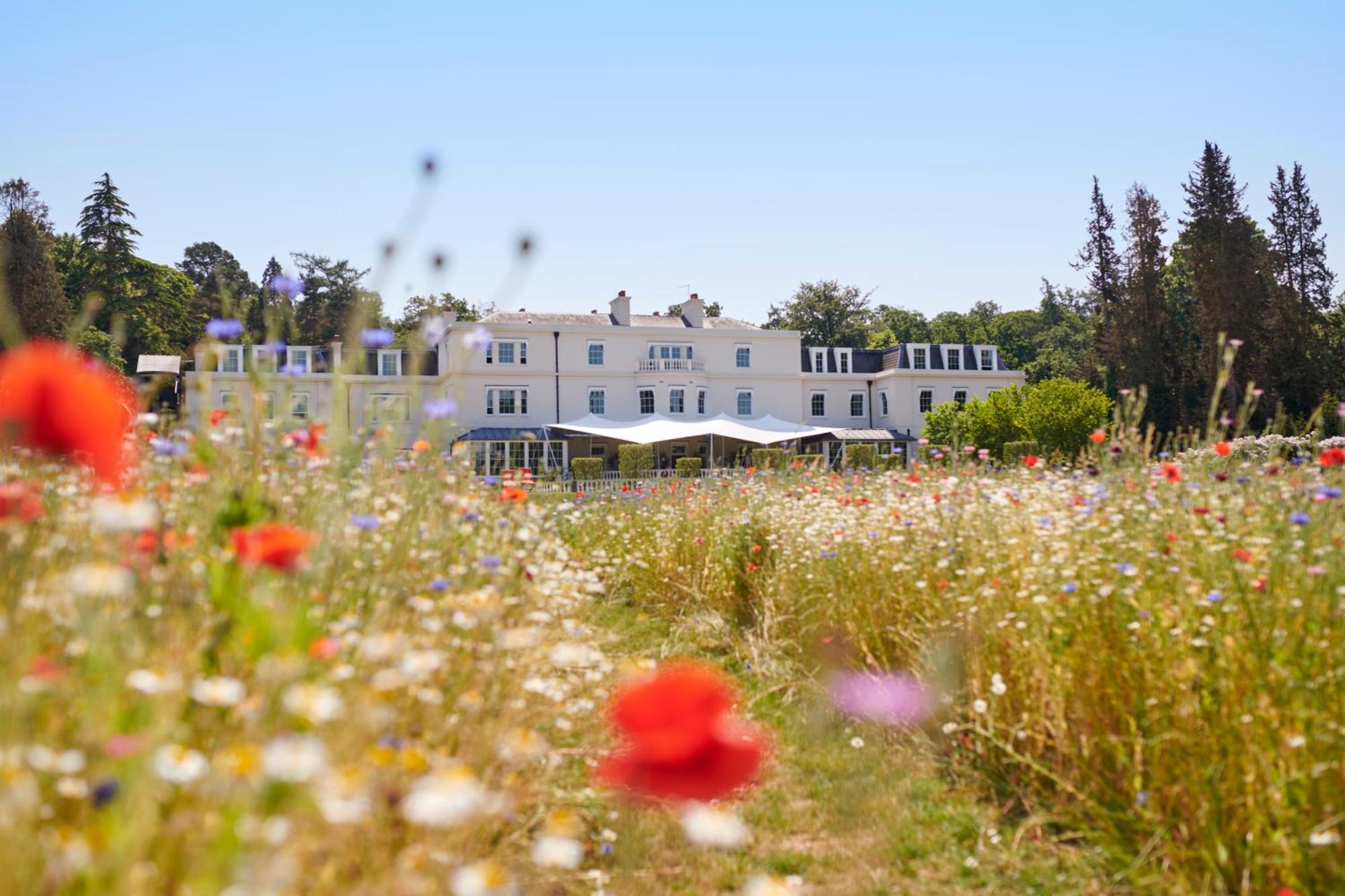 Coworth Park - Dorchester Collection Ascot  Eksteriør bilde