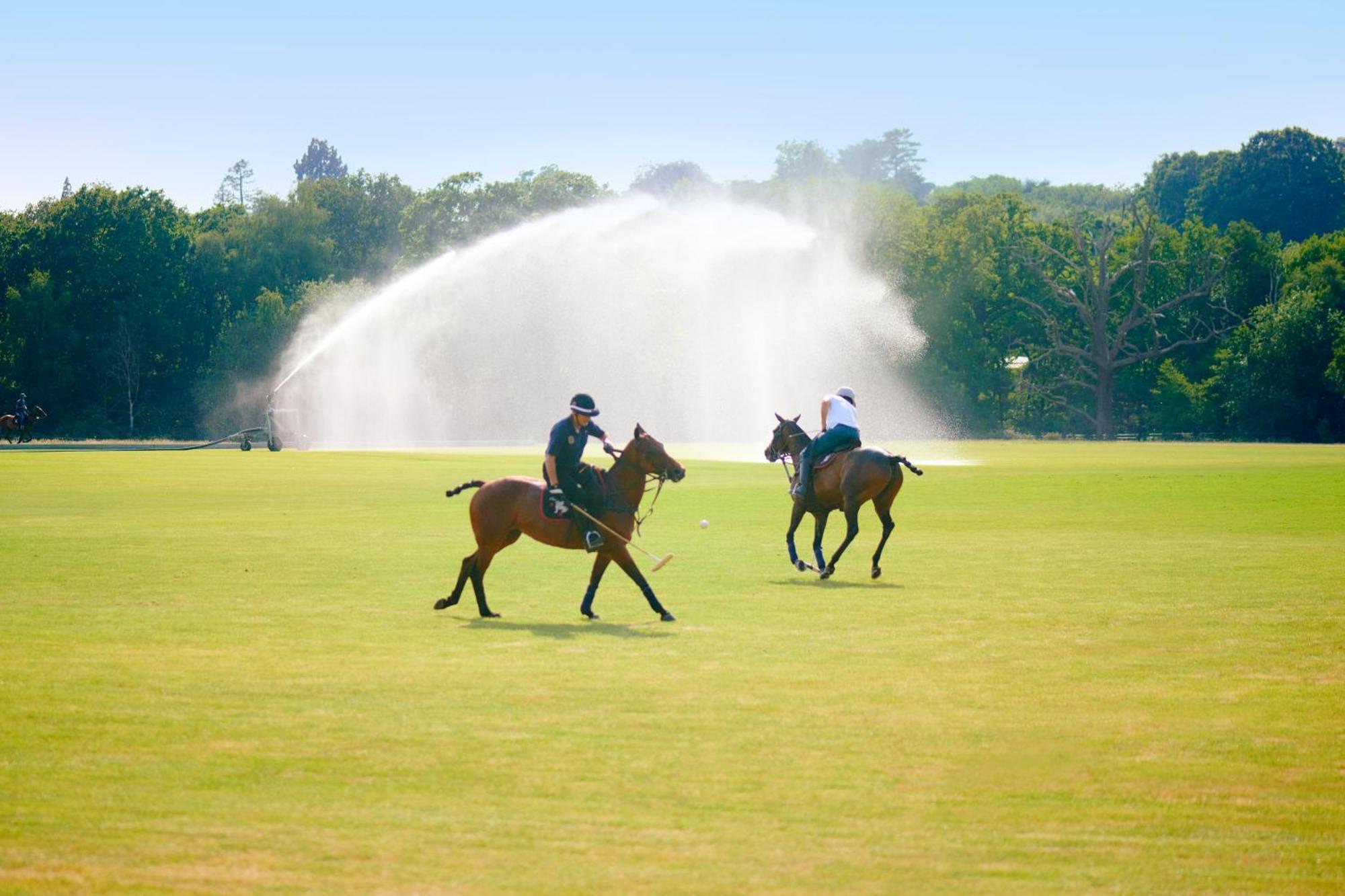 Coworth Park - Dorchester Collection Ascot  Eksteriør bilde